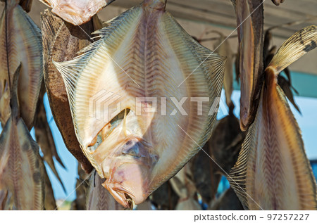 Dried fish Black Sea turbot or kalkan Dried fish Black Sea turbot or kalkan 97257227
