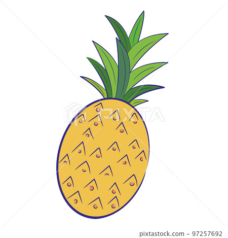 Isolated colored pineapple sketch icon Vector 97257692