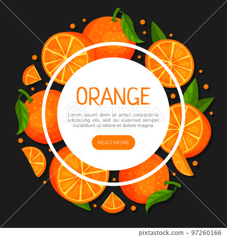 Orange Bright Ripe Fruit Food Banner Design Vector Template 97260166