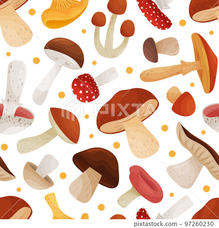 Mushroom Seamless Pattern Design with Edible Agaric Forest Growing Food Vector Template Mushroom Seamless Pattern Design with Edible Agaric Forest Growing Food Vector Template 97260230