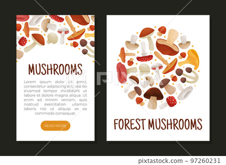 Mushroom Banner Design with Edible Agaric Forest Growing Food Vector Template 97260231