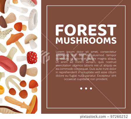 Mushroom Banner Design with Edible Agaric Forest Growing Food Vector Template Mushroom Banner Design with Edible Agaric Forest Growing Food Vector Template 97260252