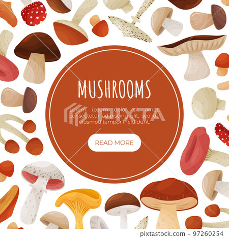 Mushroom Banner Design with Edible Agaric Forest Growing Food Vector Template Mushroom Banner Design with Edible Agaric Forest Growing Food Vector Template 97260254