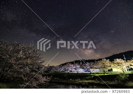 櫻花樹天空的春天星空夏天銀河 櫻花樹天空的春天星空夏天銀河 97260983