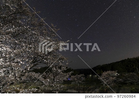 春天的星空，櫻花和星空 97260984