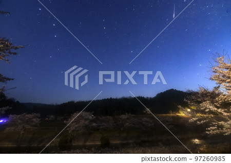 春天的星空:北斗七星和櫻花樹黎明天空中的流星 春天的星空:北斗七星和櫻花樹黎明天空中的流星 97260985
