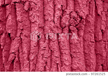 Tree bark texture background. Trendy color concept. Tree bark texture background. Trendy color concept. 97261525