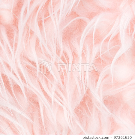 Texture of light pink long artificial fur close up. Home decor and comfort concept. Square banner with copy space for social media. 97261630