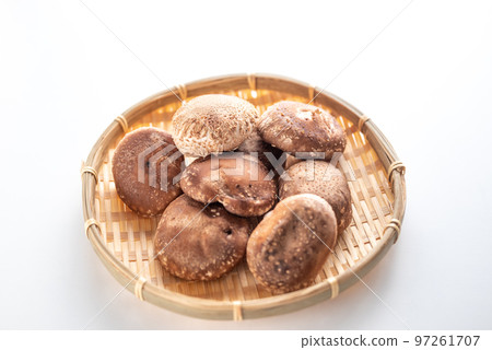 厚實美味的香菇 97261707