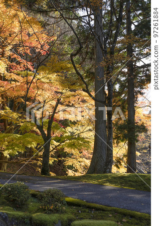 江東三山龍山西明寺停車場周邊紅葉 江東三山龍山西明寺停車場周邊紅葉 97261884