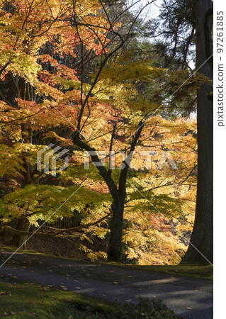 江東三山龍山西明寺停車場周邊紅葉 江東三山龍山西明寺停車場周邊紅葉 97261885