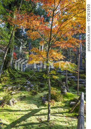 江東三山龍山西明寺秋葉庭園 江東三山龍山西明寺秋葉庭園 97261930