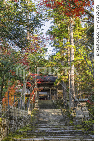 Koto Sanzan, Ryuozan Saimyoji Temple, the approach to Nitenmon Gate Koto Sanzan, Ryuozan Saimyoji Temple, the approach to Nitenmon Gate 97262005