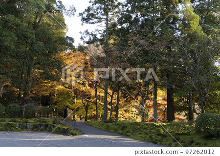 江東三山龍山西明寺停車場周邊紅葉 97262012