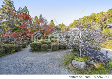 Koto Sanzan Ryuozan Saimyoji Garden Koto Sanzan Ryuozan Saimyoji Garden 97262037