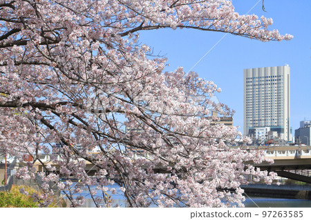 名古屋市Atsuta Ward都市風景 名古屋市Atsuta Ward都市風景 97263585