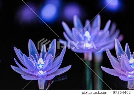 栃木縣足利市足利花卉公園 Hikari no Hana Niwa 的燈飾 97264402