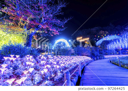 栃木縣足利市足利花卉公園 Hikari no Hana Niwa 的燈飾 栃木縣足利市足利花卉公園 Hikari no Hana Niwa 的燈飾 97264425