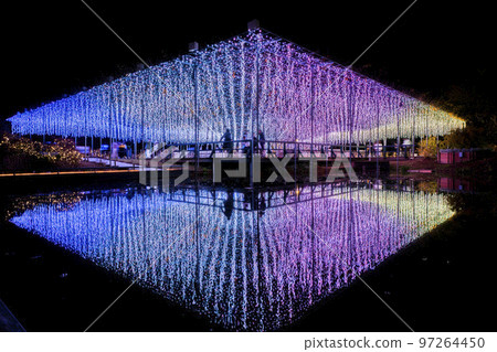 Illuminations at Ashikaga Flower Park Hikari no Hana Niwa, Ashikaga City, Tochigi Prefecture Illuminations at Ashikaga Flower Park Hikari no Hana Niwa, Ashikaga City, Tochigi Prefecture 97264450