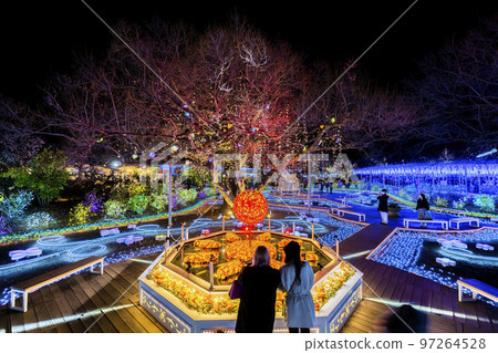 栃木縣足利市足利花卉公園 Hikari no Hana Niwa 的燈飾 栃木縣足利市足利花卉公園 Hikari no Hana Niwa 的燈飾 97264528