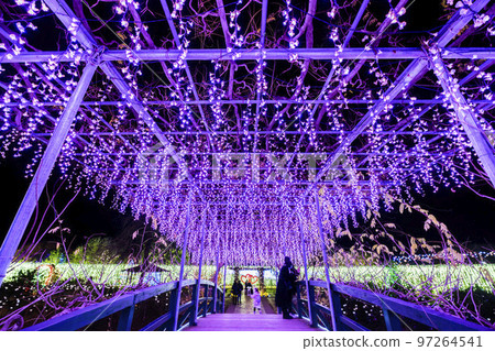 栃木縣足利市足利花卉公園 Hikari no Hana Niwa 的燈飾 97264541