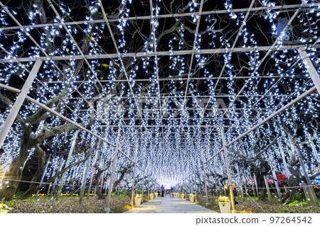 栃木縣足利市足利花卉公園 Hikari no Hana Niwa 的燈飾 栃木縣足利市足利花卉公園 Hikari no Hana Niwa 的燈飾 97264542