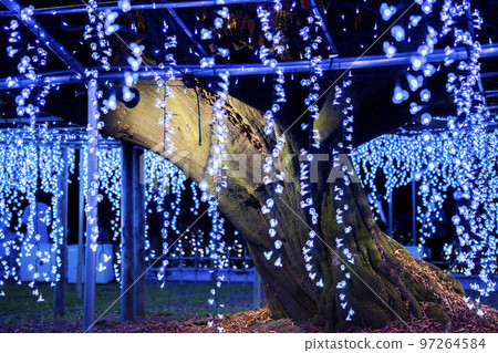 栃木縣足利市足利花卉公園 Hikari no Hana Niwa 的燈飾 栃木縣足利市足利花卉公園 Hikari no Hana Niwa 的燈飾 97264584