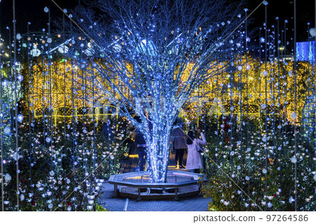 栃木縣足利市足利花卉公園 Hikari no Hana Niwa 的燈飾 栃木縣足利市足利花卉公園 Hikari no Hana Niwa 的燈飾 97264586