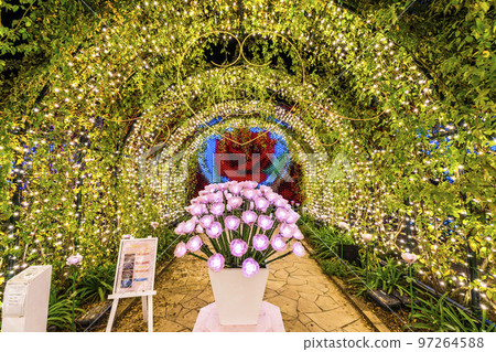 Illuminations at Ashikaga Flower Park Hikari no Hana Niwa, Ashikaga City, Tochigi Prefecture 97264588