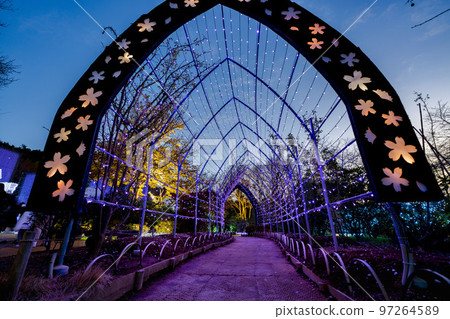 Illuminations at Ashikaga Flower Park Hikari no Hana Niwa, Ashikaga City, Tochigi Prefecture 97264589