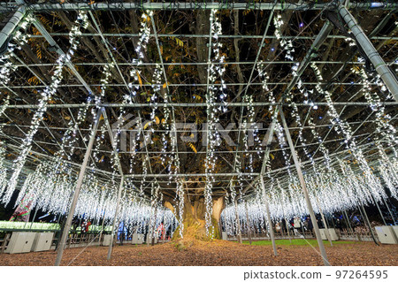 Illuminations at Ashikaga Flower Park Hikari no Hana Niwa, Ashikaga City, Tochigi Prefecture 97264595