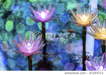 Illuminations at Ashikaga Flower Park Hikari no Hana Niwa, Ashikaga City, Tochigi Prefecture 97264721