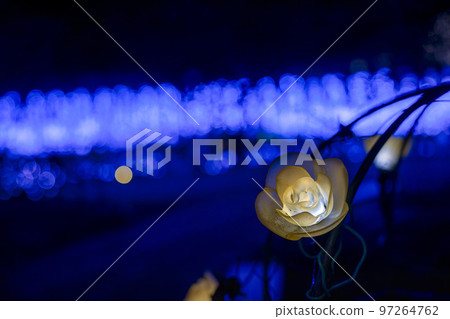 Illuminations at Ashikaga Flower Park Hikari no Hana Niwa, Ashikaga City, Tochigi Prefecture 97264762