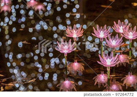 栃木縣足利市足利花卉公園 Hikari no Hana Niwa 的燈飾 97264772