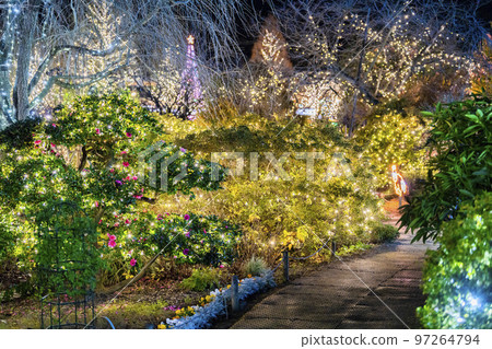 栃木縣足利市足利花卉公園 Hikari no Hana Niwa 的燈飾 栃木縣足利市足利花卉公園 Hikari no Hana Niwa 的燈飾 97264794