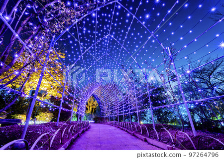 栃木縣足利市足利花卉公園 Hikari no Hana Niwa 的燈飾 97264796