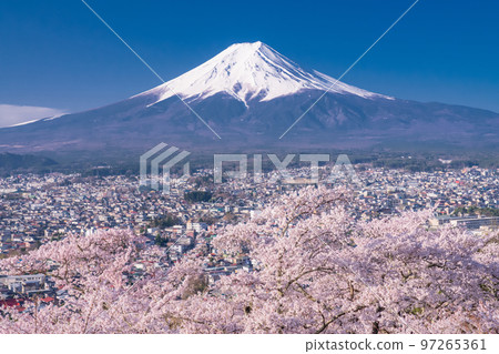 【山梨縣】富士山櫻花盛開,春天的新倉山淺間公園 【山梨縣】富士山櫻花盛開,春天的新倉山淺間公園 97265361