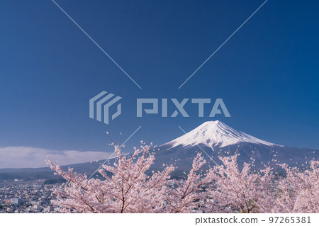 【山梨縣】富士山櫻花盛開，春天的新倉山淺間公園 97265381