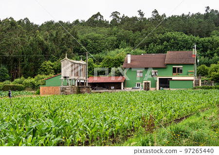 Beautiful village of Dombate in Spain, unique for its horreos, traditional granary barns 97265440