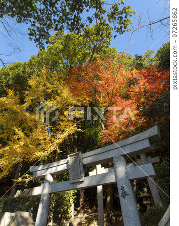 Shigisan Inoue Shrine and autumn leaves Shigisan Inoue Shrine and autumn leaves 97265862