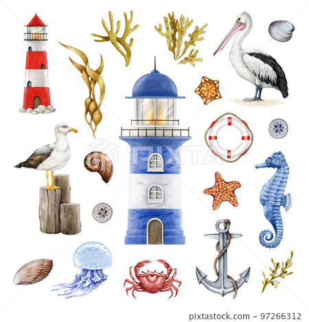 Seashore coast elements set. Watercolor illustration. Hand drawn lighthouse, anchor, pelican, gull, seaweed, crab, lifebuoy element collection. Marine vintage style nautical set. White background Seashore coast elements set. Watercolor illustration. Hand drawn lighthouse, anchor, pelican, gull, seaweed, crab, lifebuoy element collection. Marine vintage style nautical set. White background 97266312
