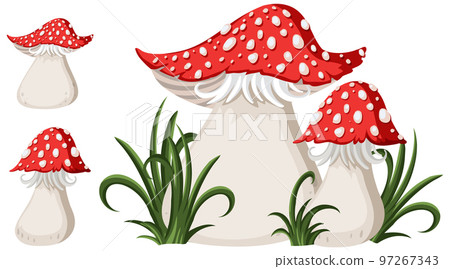 Set of cartoon mushroom Set of cartoon mushroom 97267343