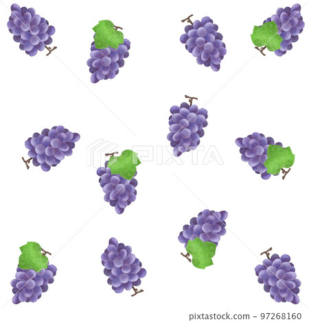 Delicious grape seamless pattern material Delicious grape seamless pattern material 97268160