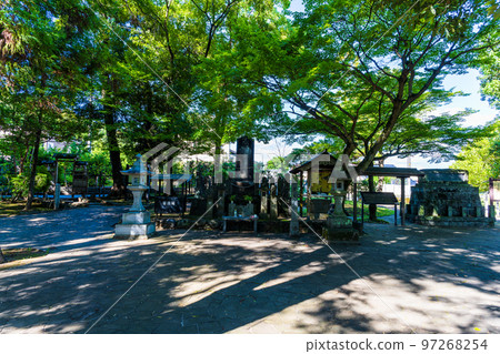Tourist attraction: Musashizuka Park (Miyamoto Musashi) park scenery with beautiful fresh greenery and rays of light in the background Tourist attraction: Musashizuka Park (Miyamoto Musashi) park scenery with beautiful fresh greenery and rays of light in the background 97268254