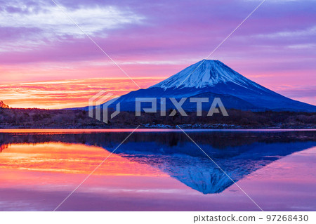 (Yamanashi Prefecture) Mt. Fuji seen from Lake Shoji on a scorching morning 97268430