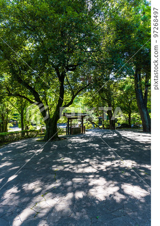 旅遊景點：武藏塚公園（宮本武藏） 以美麗的新綠和光線為背景的公園景色 97268497