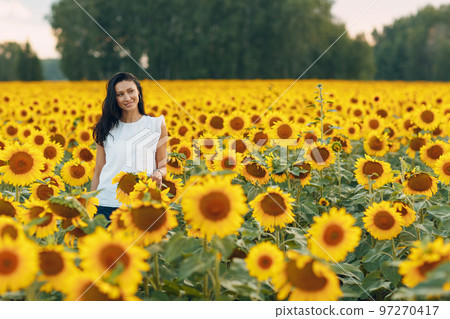 Beautiful young woman in a hat on a field of sunflowers Beautiful young woman in a hat on a field of sunflowers 97270417