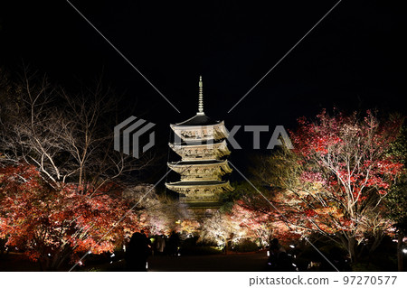 Toji Light Up Toji Light Up 97270577