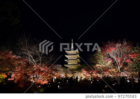 Toji Light Up Toji Light Up 97270583