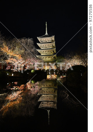 Toji Light Up Toji Light Up 97270586